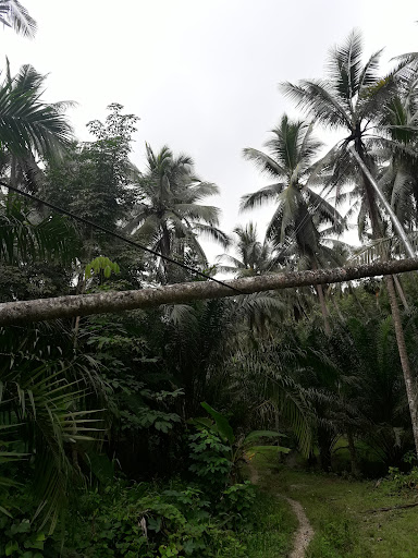 Sabah Electricity Sdn Bhd (SESB) Kudat Region