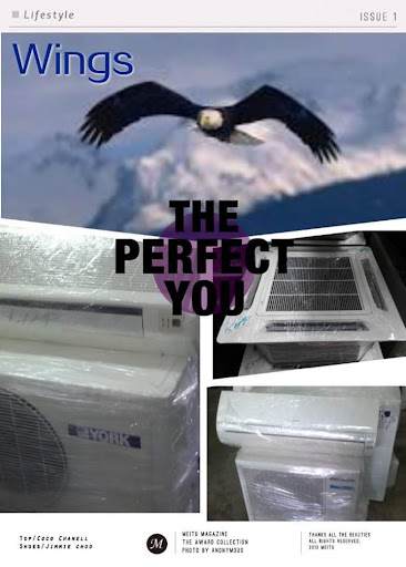 wings electrical & air-cond trading