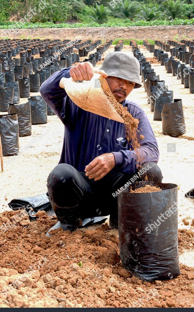 poly electrical companylahad datu